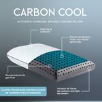 carboncool-king_2