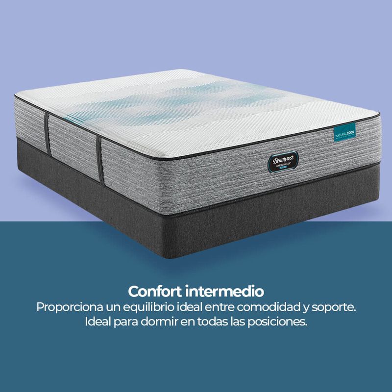 Harmony-Medium-Firm-Pillow-Top-1.jpg