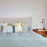 CAMA-HORIZON-REAL-1.jpg