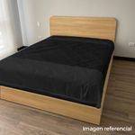 CAMA_OASIS_5.jpg