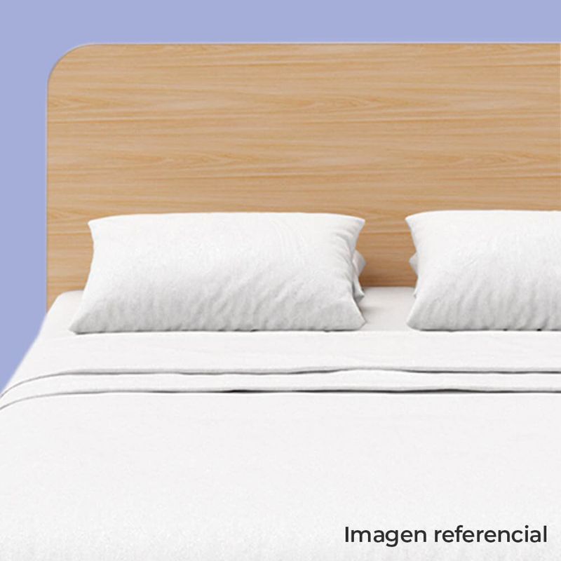 CAMA_OASIS_3.jpg